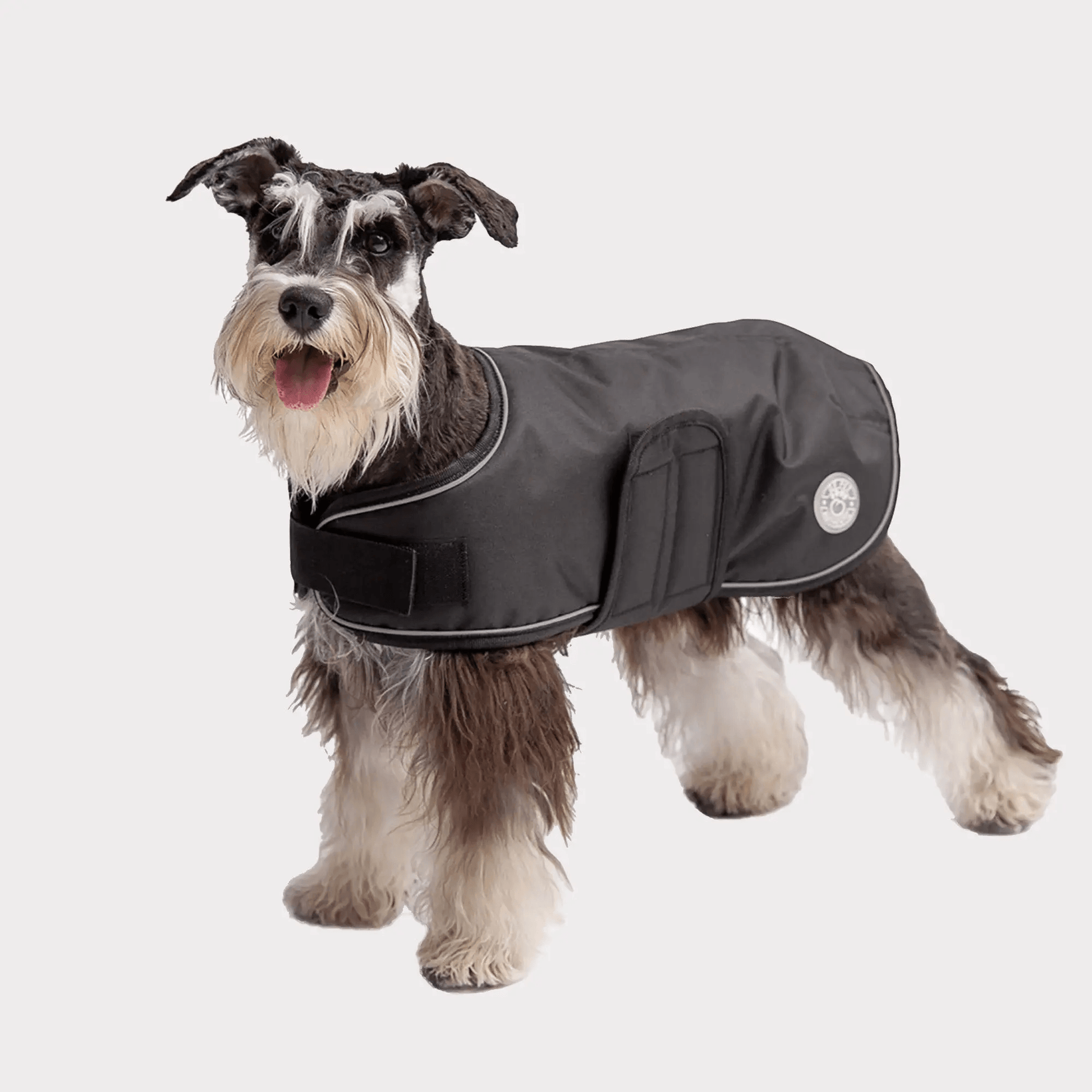 Dog black jacket outlet