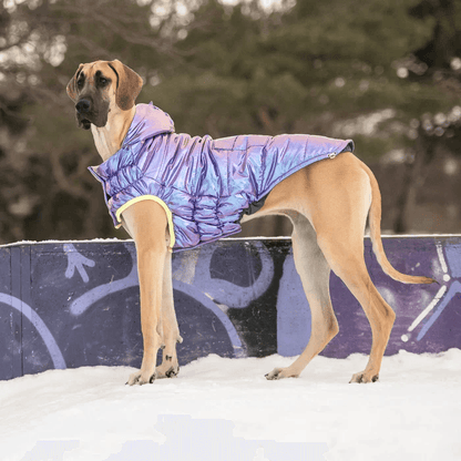 GF Pet Recycled Parka Iridescent For Dogs - X-Small - Coats - GF Pet - PetMax Canada