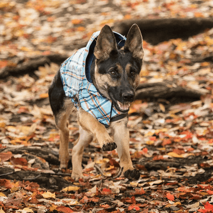 GF Pet Reversible Raincoat Navy For Dogs - X-Small - Coats - GF Pet - PetMax Canada