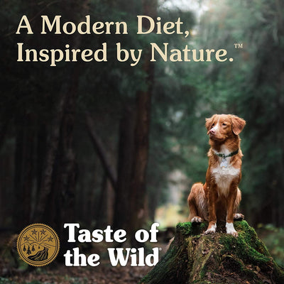 Taste Of The Wild Ancient Stream Grain Inclusive Dog Food - 2.27 Kg - Dog Food - Taste of the Wild Pet Foods - PetMax Canada