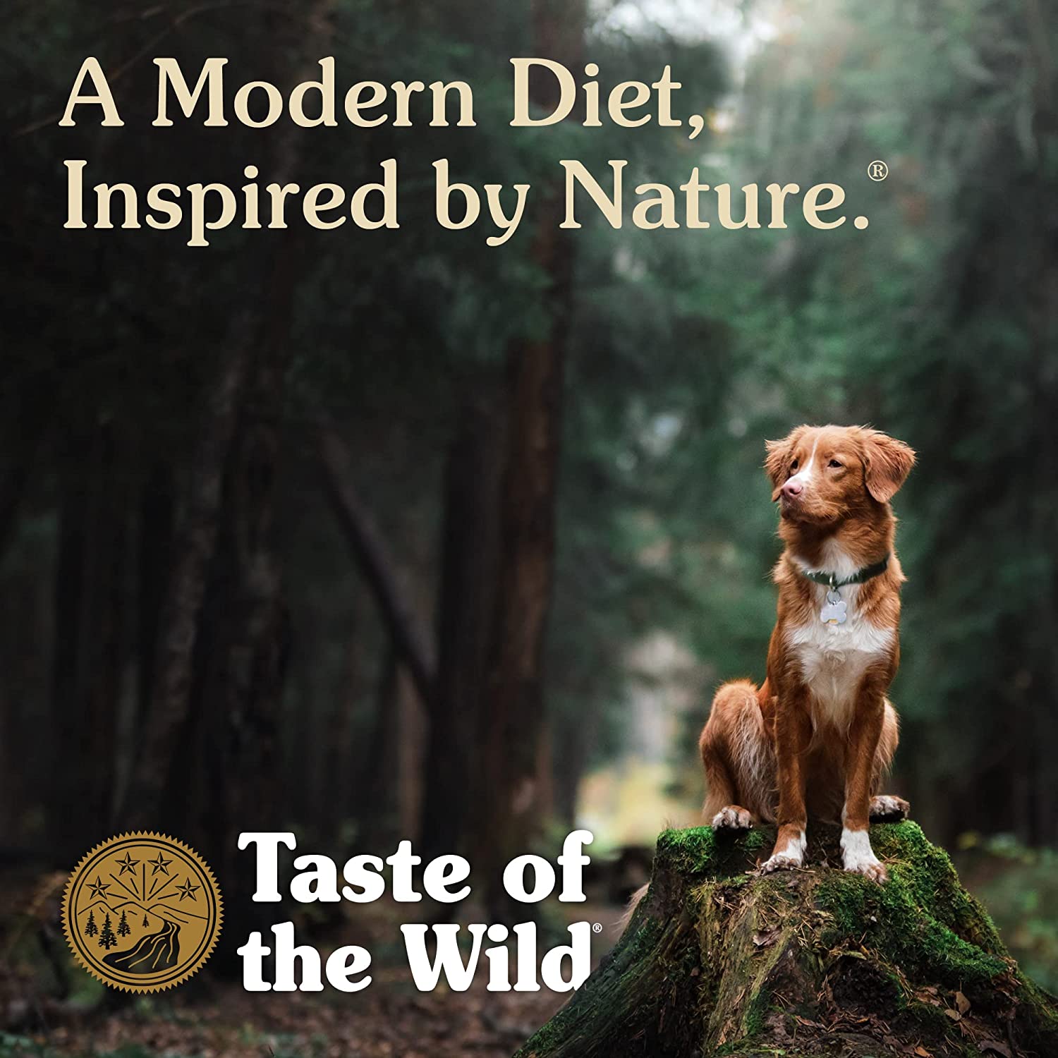 Taste Of The Wild Dog Food High Prairie  Dog Food  | PetMax Canada