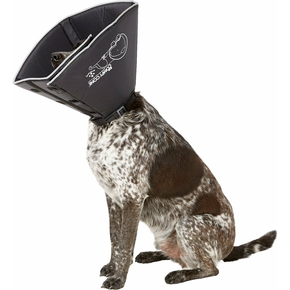 Comfy Cone E-Collar for Dogs & Cats, Black  Dog Collars  | PetMax Canada
