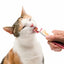 CatIt Creamy Lickable Treats Chicken & Shrimp  Cat Treats  | PetMax Canada