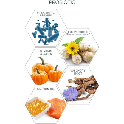 Veterinary Formula Clinical Care Super Probiotic Supplement - 30 Count - Health Care - Synergy Labs - PetMax Canada