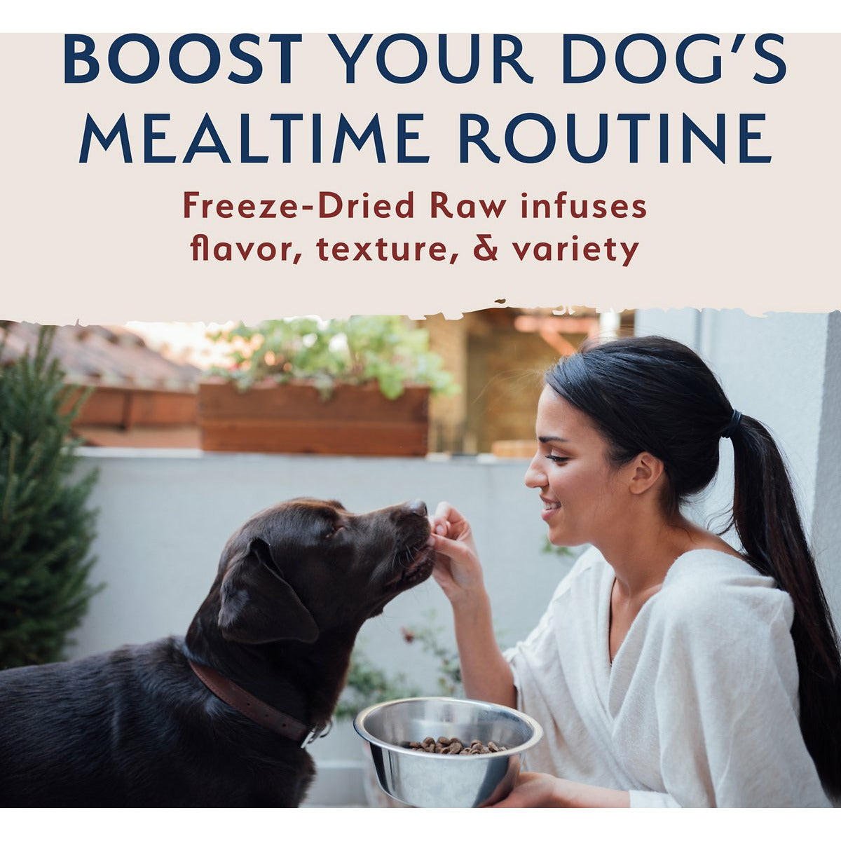 Natural Balance Limited Ingredient Diet Freeze Dried Raw Beef & Brown Rice Recipe Dog Food  Dog Treats  | PetMax Canada