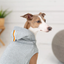 GF Pet Urban Hoodie Heather Grey For Dogs  Sweaters  | PetMax Canada