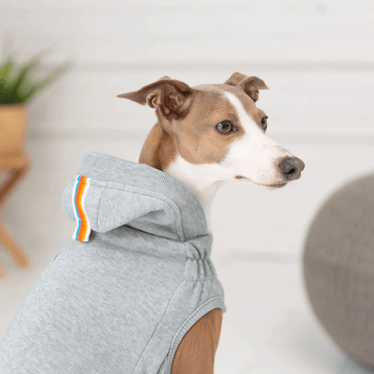 GF Pet Urban Hoodie Heather Grey For Dogs - XX-Small - Sweaters - GF Pet - PetMax Canada