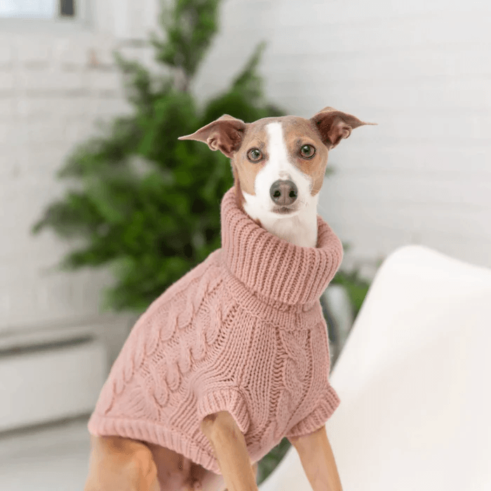 GF Pet Chalet Sweater Pink For Dogs - XX-Small - Sweaters - GF Pet - PetMax Canada