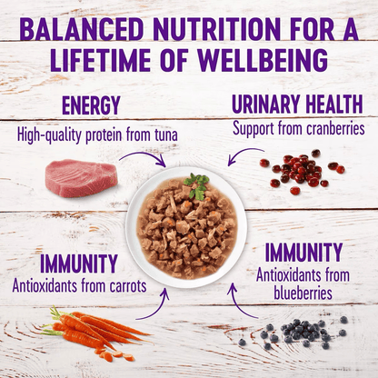 Wellness Healthy Indulgence Gravies Tuna & Mackerel Wet Cat Food - 85g - Canned Cat Food - Wellness - PetMax Canada