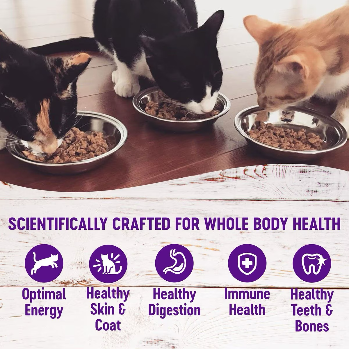 Wellness Complete Health Adult Beef & Chicken Formula Grain-Free Canned Cat Food  Canned Cat Food  | PetMax Canada