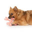 Zeus Duo Dog Toy Cross Bones Chicken Scent Coral  Dog Toys  | PetMax Canada