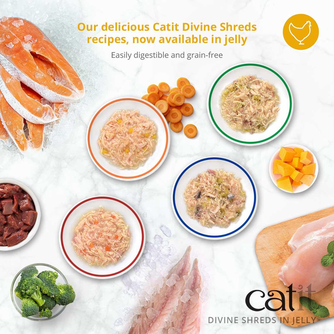 Catit Divine Shreds Chicken, Salmon & Pumpkin In Jelly 4 Pack  Canned Cat Food  | PetMax Canada