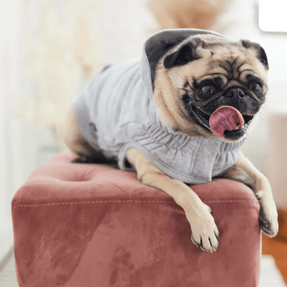 GF Pet Urban Hoodie Heather Grey For Dogs - XX-Small - Sweaters - GF Pet - PetMax Canada