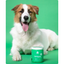 Open Farm Dog Supplement Immune Chews  Health Care  | PetMax Canada
