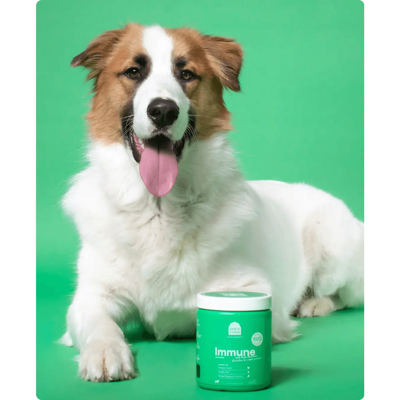 Open Farm Dog Supplement Immune Chews - 90 count - Health Care - Open Farm - PetMax Canada
