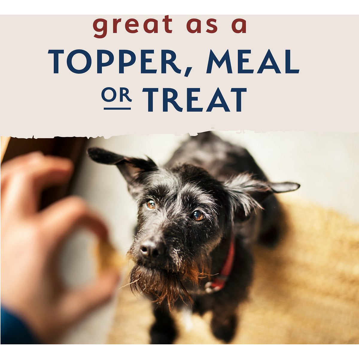 Natural Balance Limited Ingredient Diet Freeze Dried Raw Beef & Brown Rice Recipe Dog Food  Dog Treats  | PetMax Canada