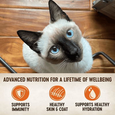 Wellness CORE Tiny Tasters Pâté Land Variety Pack - 12 x 50g - Canned Cat Food - Wellness - PetMax Canada