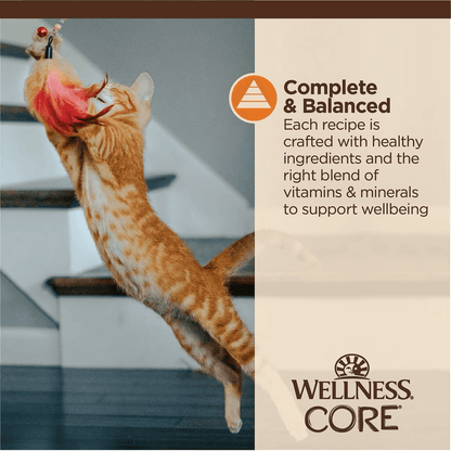 Wellness CORE Tiny Tasters Minced Chicken in Gravy Wet Cat Food - 50g - Canned Cat Food - Wellness - PetMax Canada