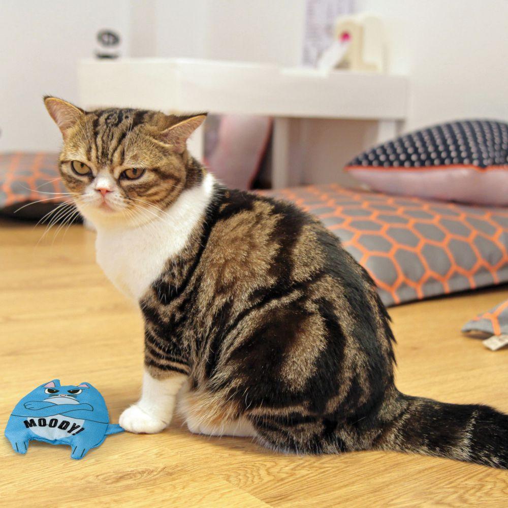 Kong Cat Toy Refillable Catnip Toy Purrsonality Spoiled - Spoiled Catnip Toy - Cat Toys - Kong - PetMax Canada