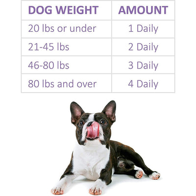 Veterinary Formula Clinical Care Pet Calm Supplement - 30 Count - Health Care - Synergy Labs - PetMax Canada