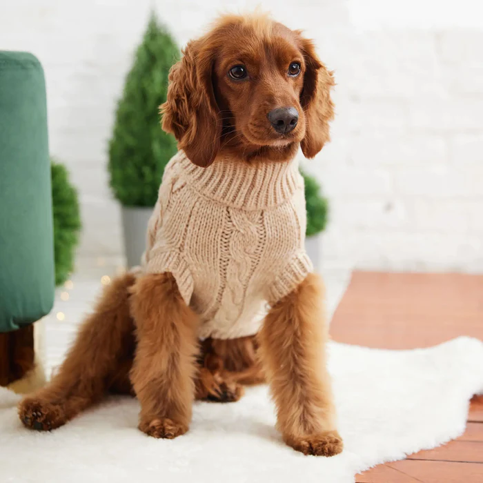 GF Pet Chalet Sweater Oatmeal For Dogs  Sweaters  | PetMax Canada