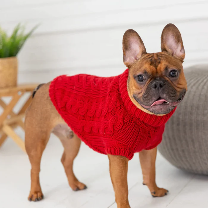 GF Pet Chalet Sweater Red For Dogs  Sweaters  | PetMax Canada