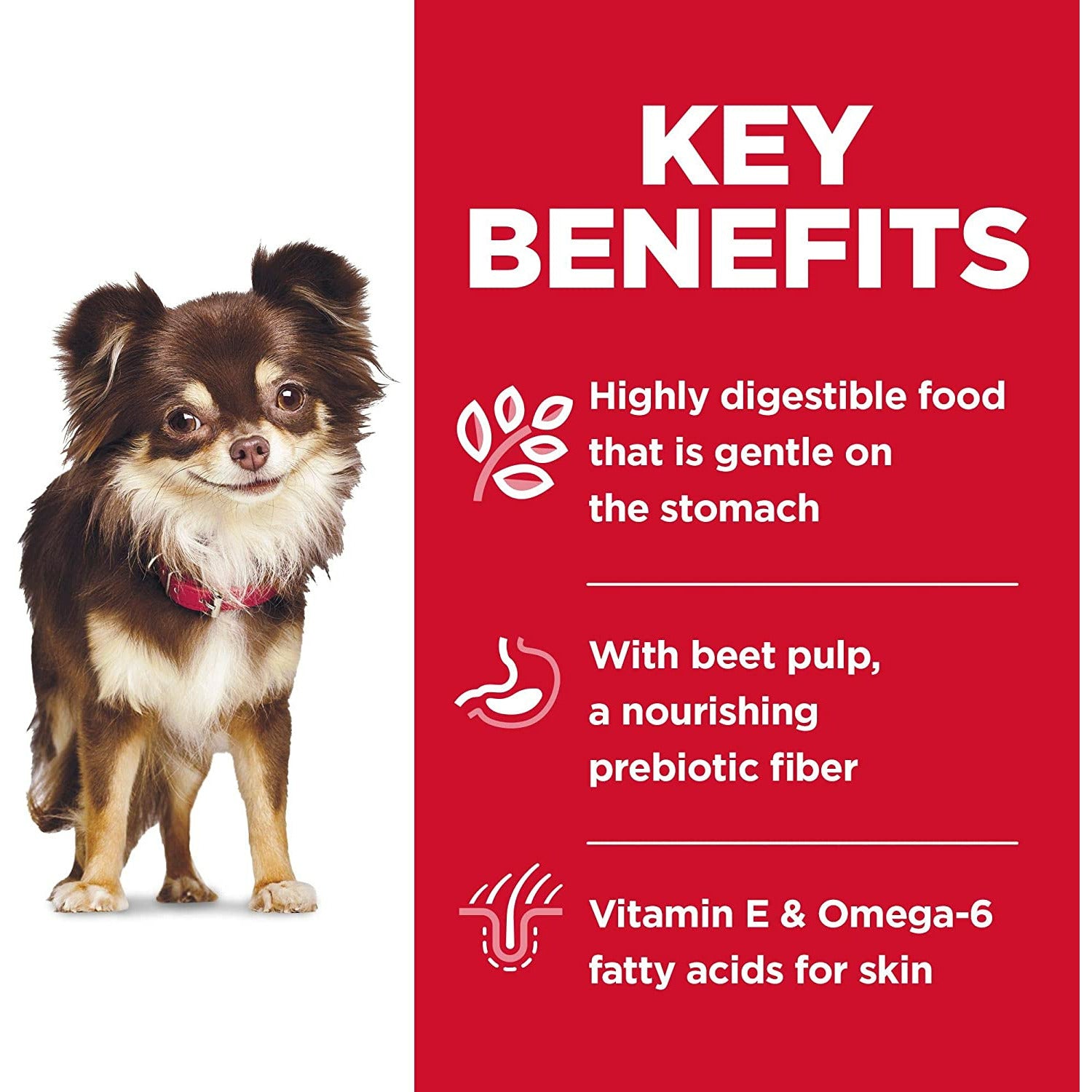 Hill's Science Diet Adult Sensitive Stomach & Skin Small & Mini Chicken Recipe Dog Food  Dog Food  | PetMax Canada