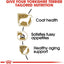Royal Canin Dog Food Yorkshire Terrier  Dog Food  | PetMax Canada