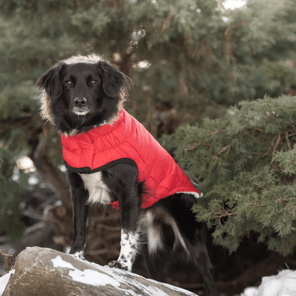 GF Pet Urban Parka Red For Dogs - X-Small - Coats - GF Pet - PetMax Canada