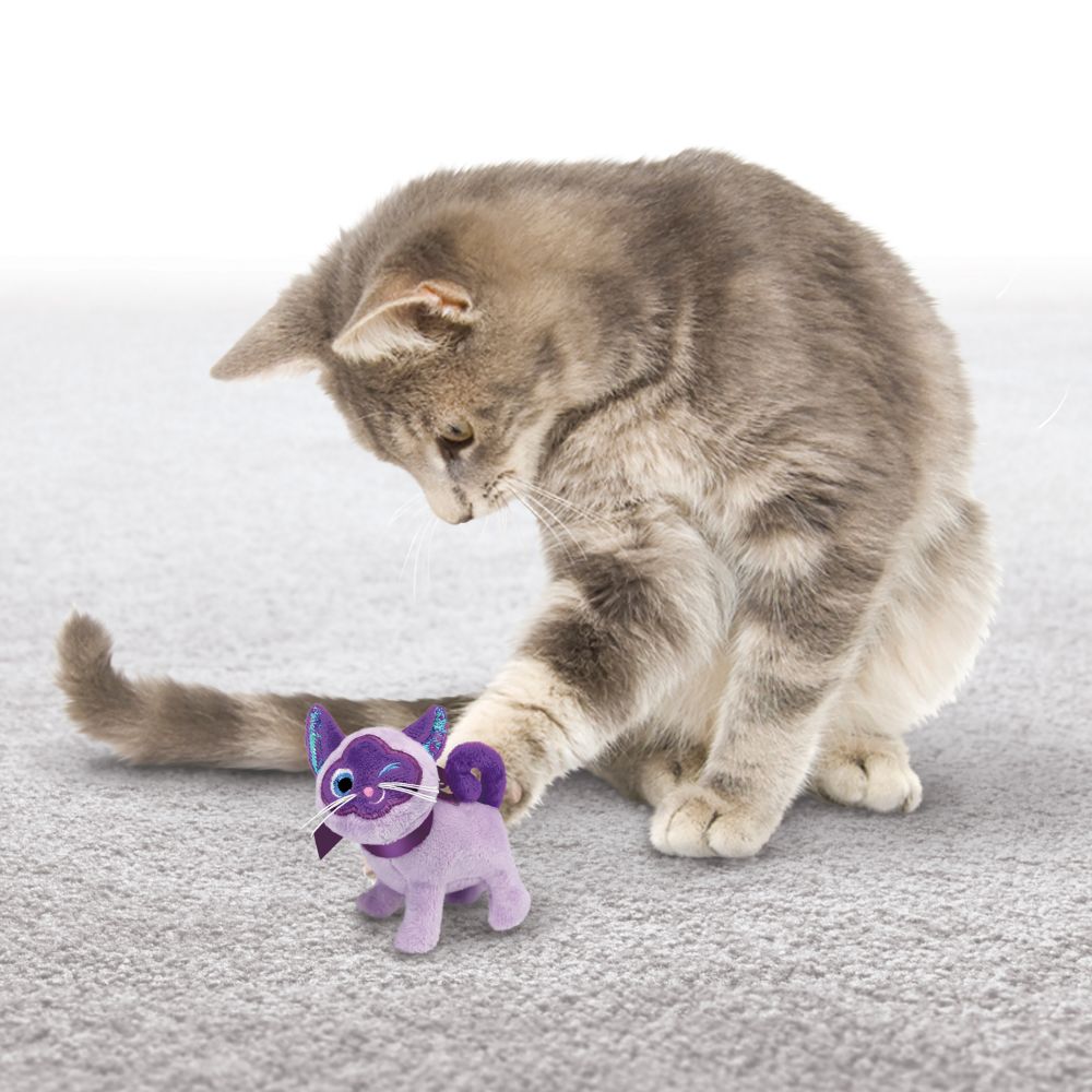 Kong Cat Toy Crackle Winkz Cat  Cat Toys  | PetMax Canada