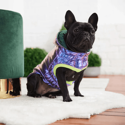 GF Pet Recycled Parka Iridescent For Dogs - X-Small - Coats - GF Pet - PetMax Canada