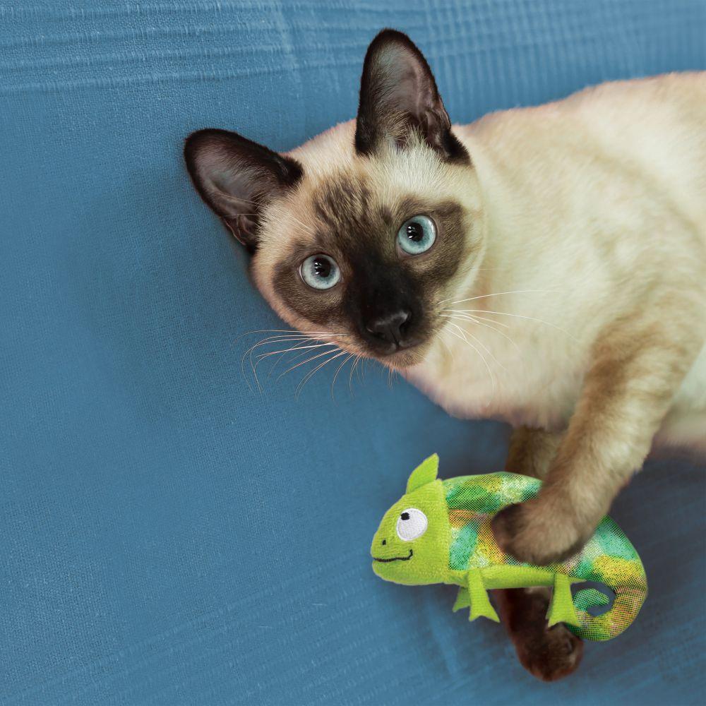 Kong Cat Toy Catnip Refillables Chameleon - Chameleon - Cat Toys - Kong - PetMax Canada