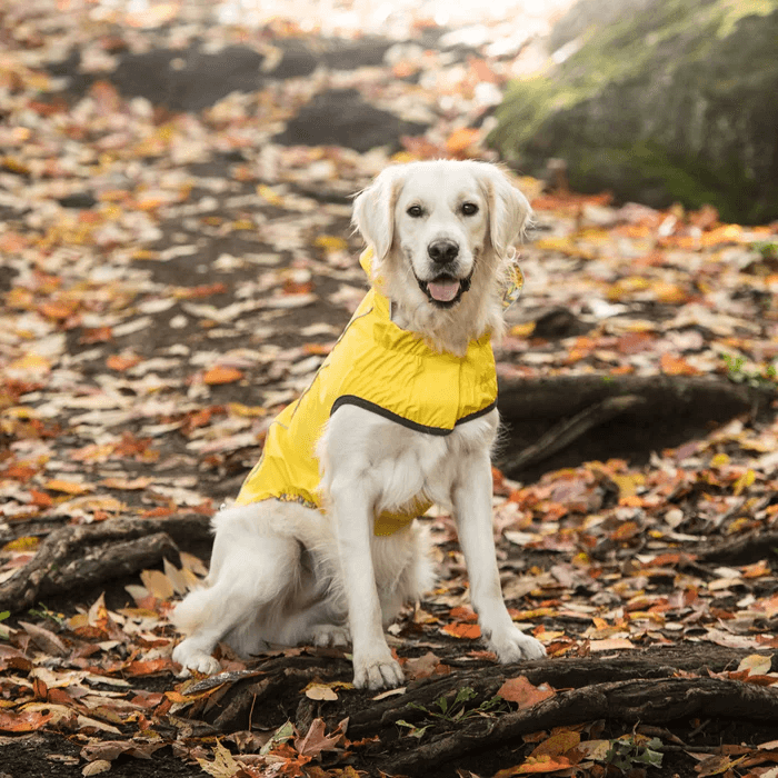 GF Pet Reversible Raincoat Yellow For Dogs  Coats  | PetMax Canada