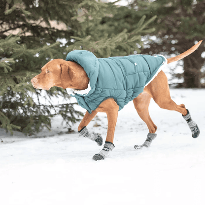 GF Pet Super Puff Parka Teal For Dogs - X-Small - Coats - GF Pet - PetMax Canada