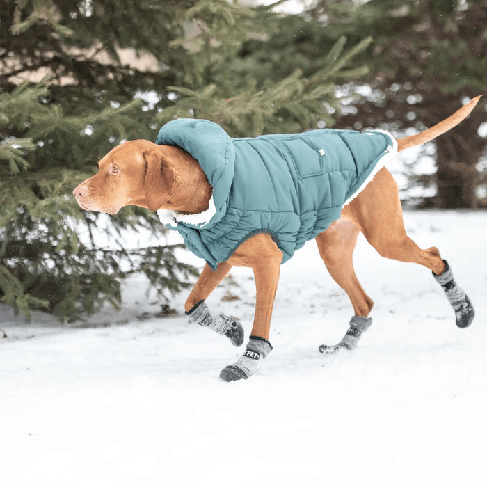 GF Pet Super Puff Parka Teal For Dogs - X-Small - Coats - GF Pet - PetMax Canada