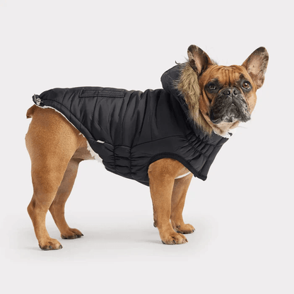 GF Pet Urban Parka Black For Dogs - X-Small - Coats - GF Pet - PetMax Canada