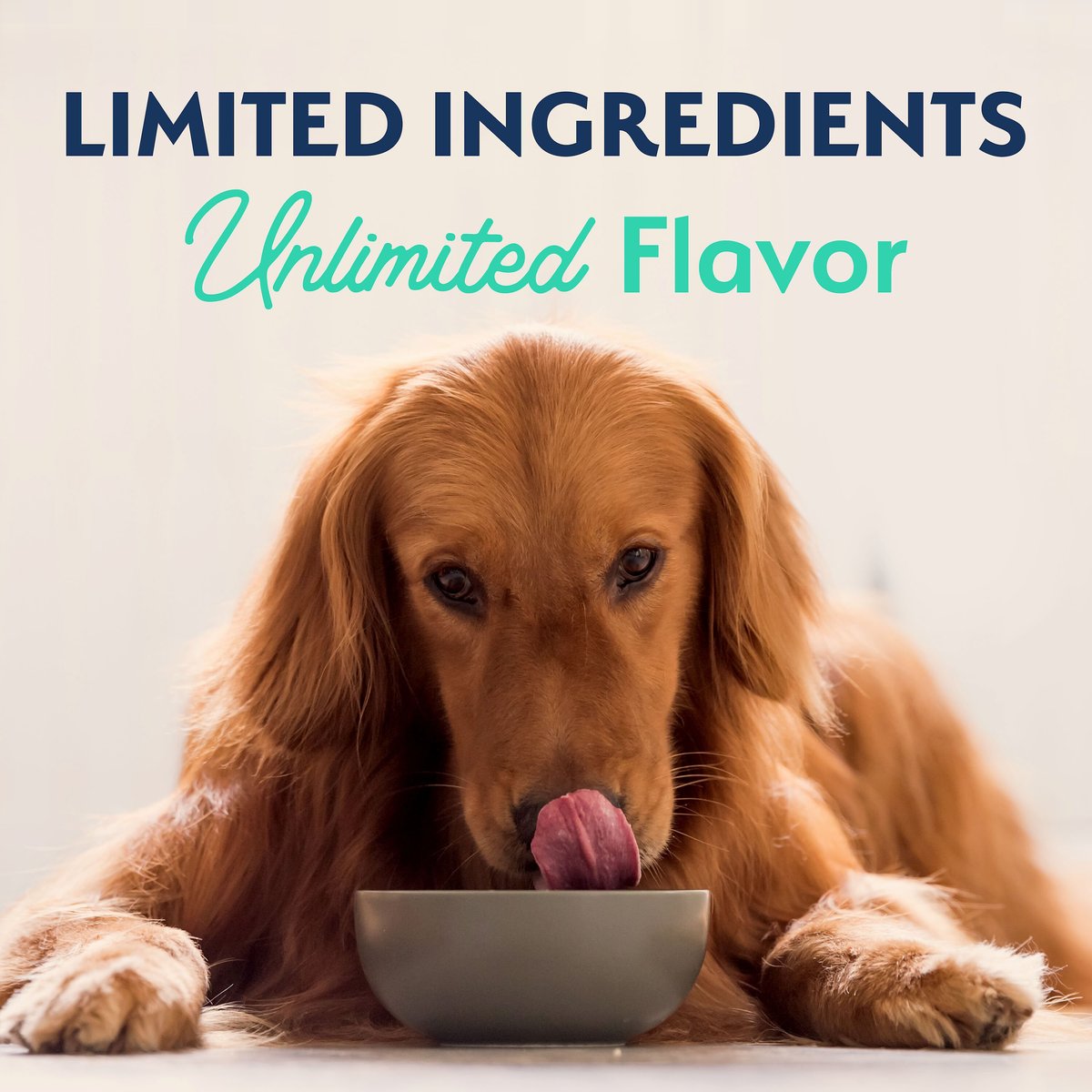 Natural Balance Limited Ingredient Diet Sweet Potato & Chicken Dog Food  Dog Food  | PetMax Canada