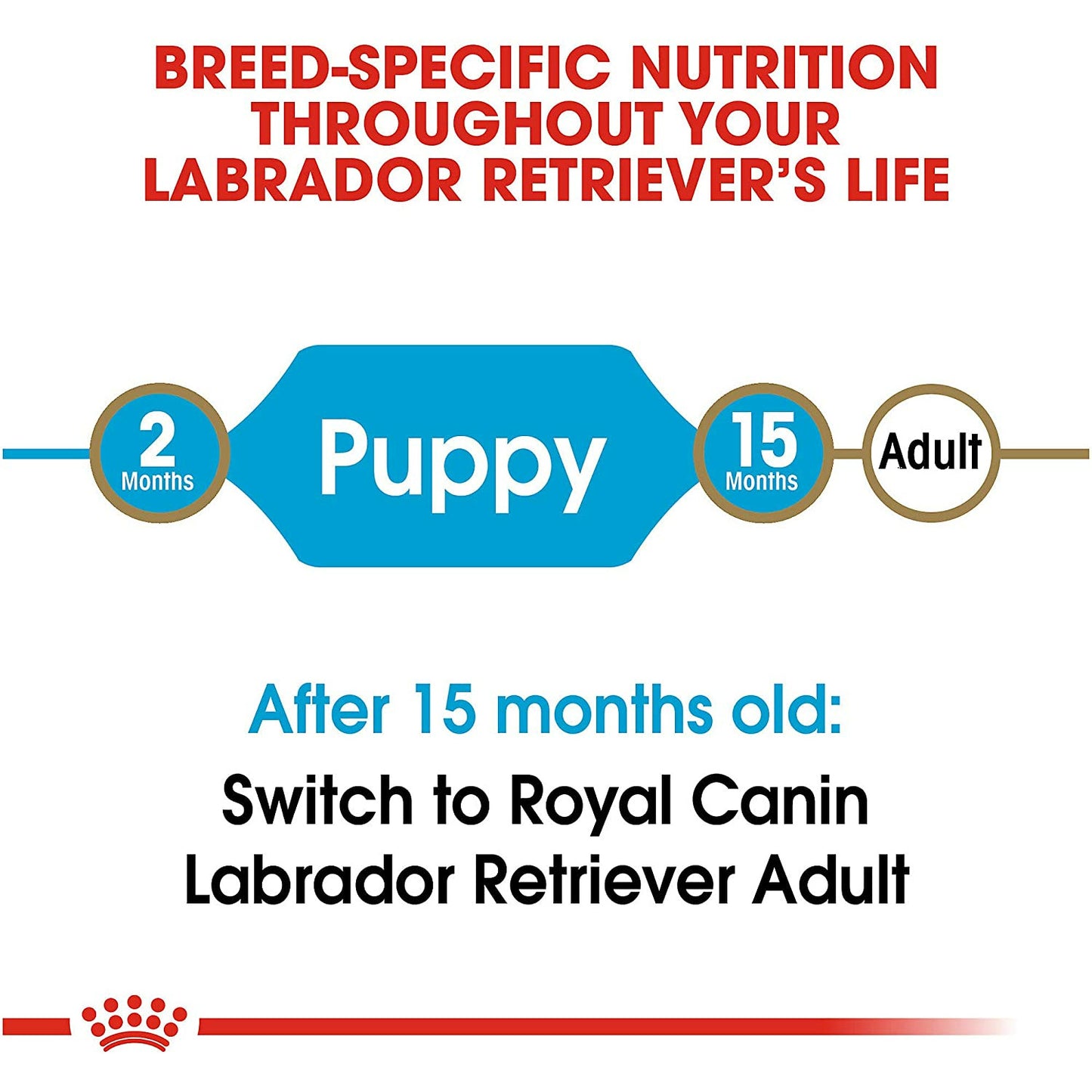 Royal Canin Labrador Retriever Puppy Food  Dog Food  | PetMax Canada