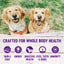 Wellness Complete Health Senior Deboned Chicken & Barley Recipe Dry Dog Food  Dog Food  | PetMax Canada