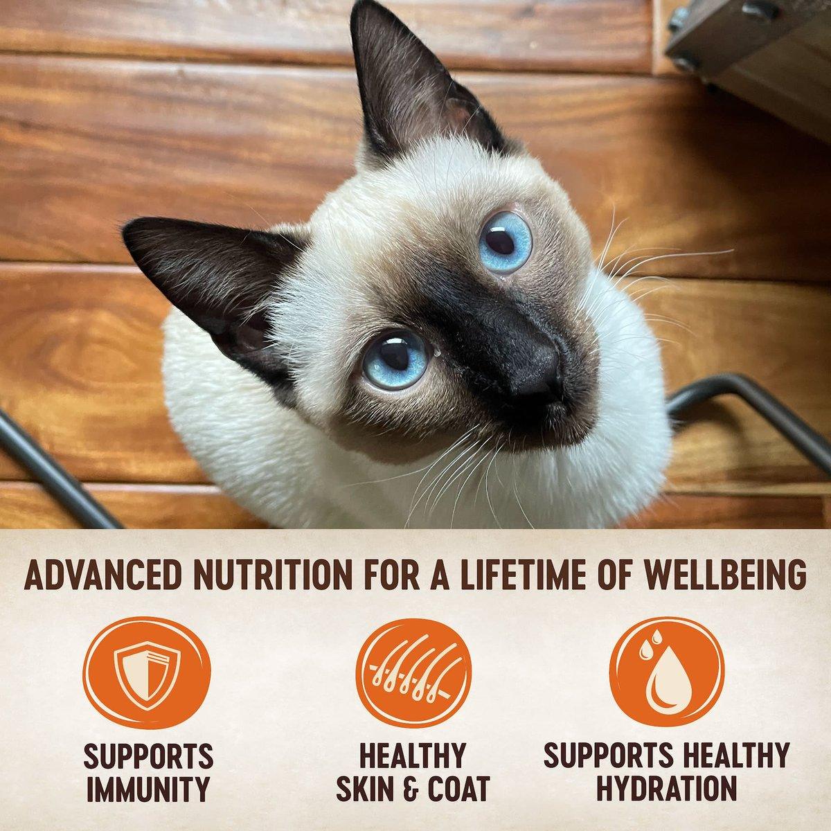 Wellness CORE Tiny Tasters Tuna & Salmon Wet Cat Food - 50g - Canned Cat Food - Wellness - PetMax Canada