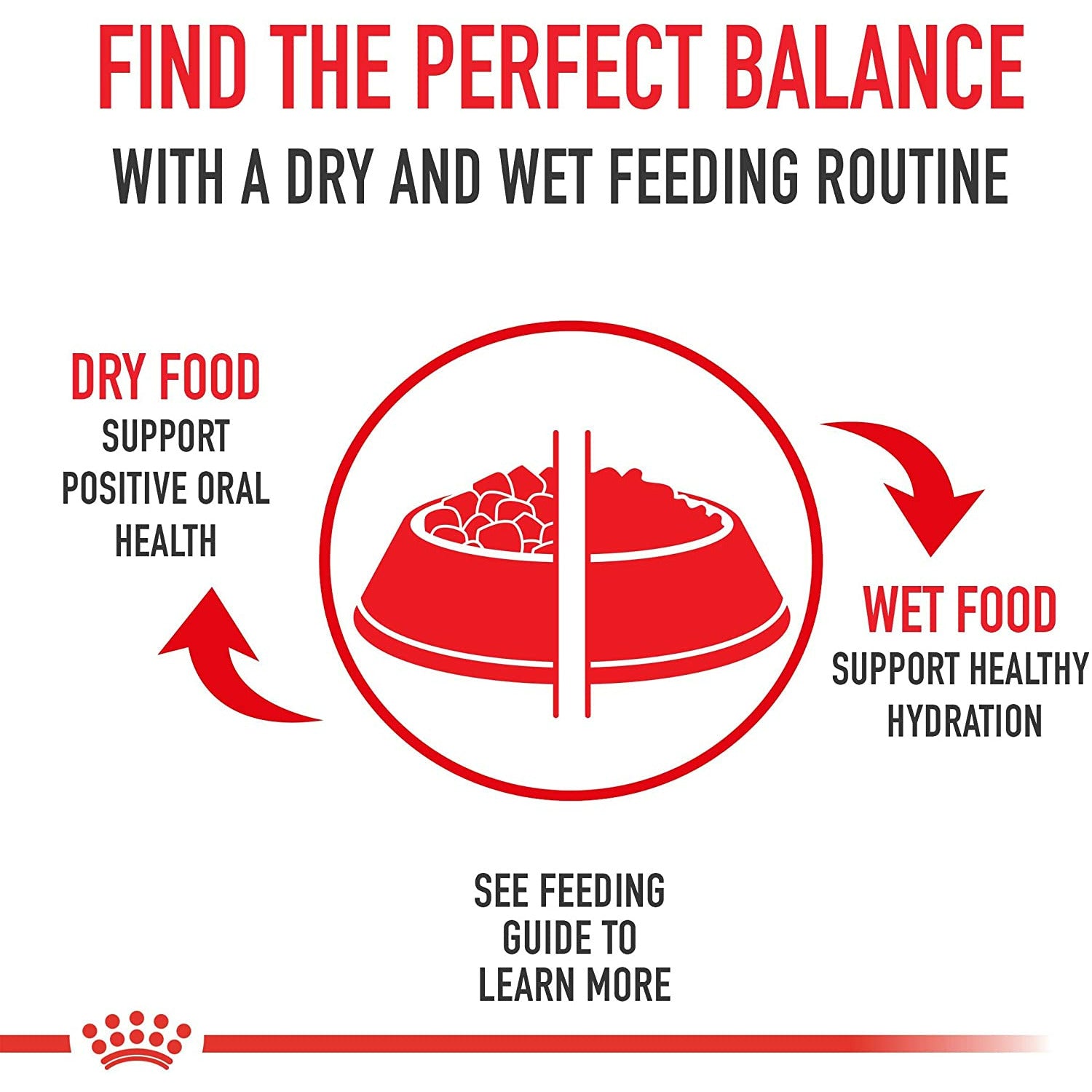 Royal Canin Breed Health Nutrition Dachshund Adult Dry Dog Food  Dog Food  | PetMax Canada