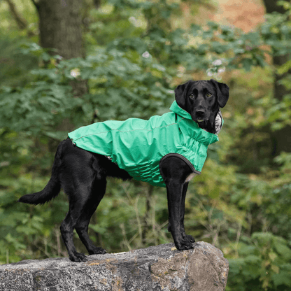 GF Pet Reversible Raincoat Green For Dogs - Small - Coats - GF Pet - PetMax Canada