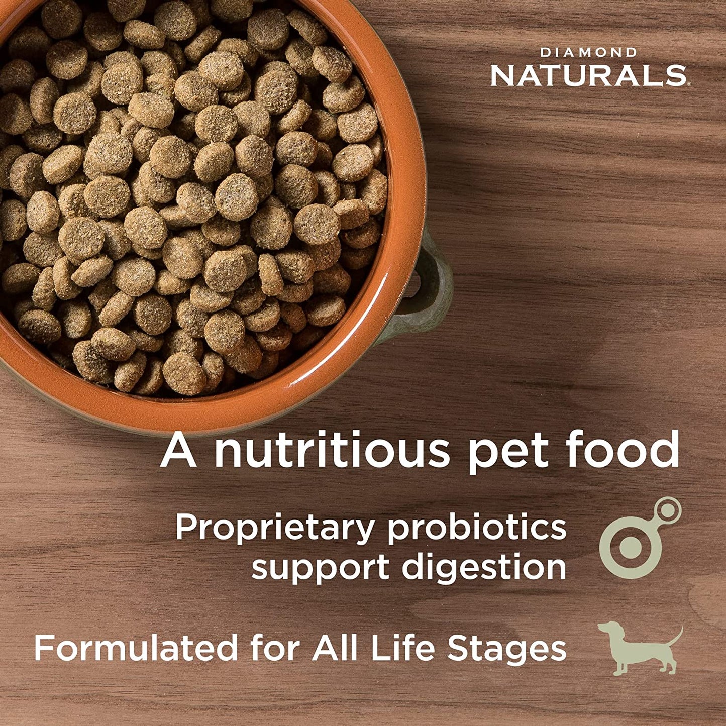 Diamond Naturals Dog Food Grain Free Skin & Coat Salmon And Potato  Dog Food  | PetMax Canada