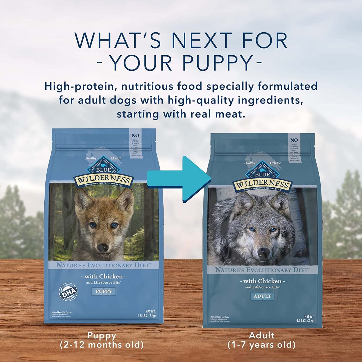 Blue Buffalo Wilderness Puppy Food Chicken Formula  Dog Food  | PetMax Canada