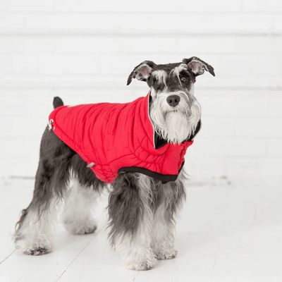 GF Pet Reversible Chalet Jacket Red For Dogs - X-Small - Coats - GF Pet - PetMax Canada