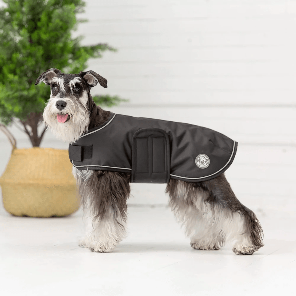 GF Pet Blanket Jacket Black For Dogs  Coats  | PetMax Canada