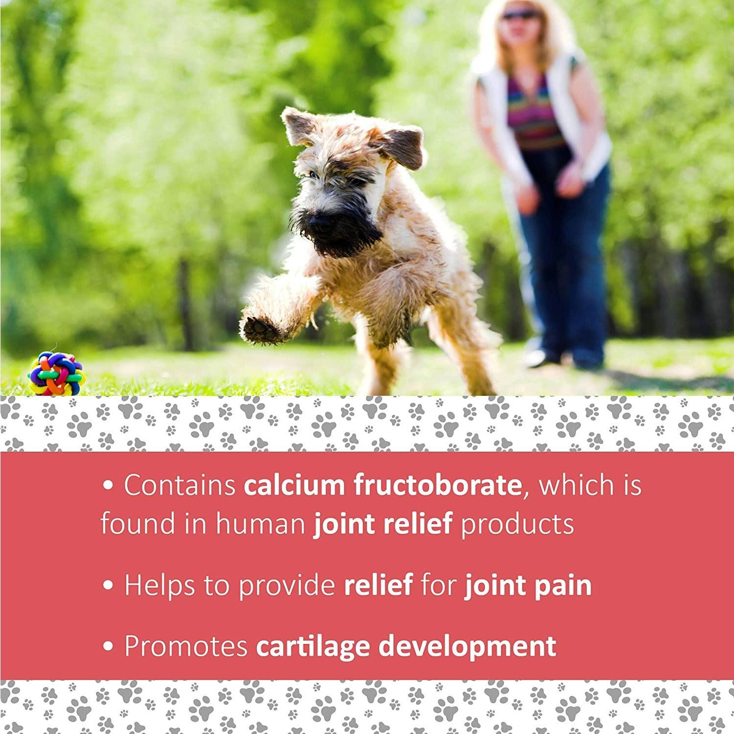 Veterinary Formula Clinical Care Hip and Joint Supplement - 30 Count - Health Care - Synergy Labs - PetMax Canada