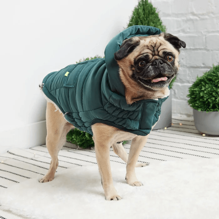 GF Pet Super Puff Parka Teal For Dogs  Coats  | PetMax Canada