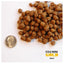 Fromm Gold Adult Cat Food  Cat Food  | PetMax Canada