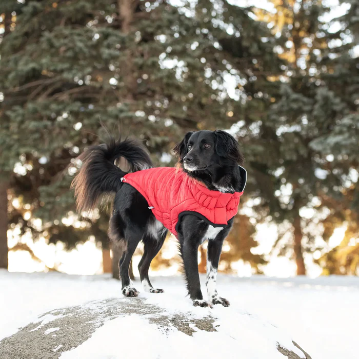 GF Pet Reversible Chalet Jacket Red For Dogs  Coats  | PetMax Canada